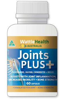 Joints PLUS+