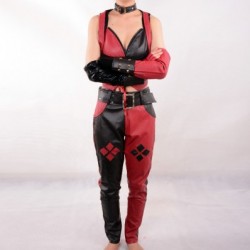 alicestyless.com Batman Arkham City Secret Wishes Harley Quinn Cosplay Costume