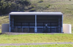 Horse Shelters | Wide Span Sheds