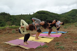 Yoga and Meditation at Tigerland Paddy and Bamboo Forest, Tigerland Rice Farm, Chiang Rai, Thail ...