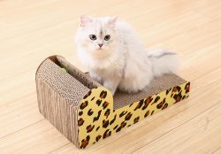 HOOPET Cat Scratch Board