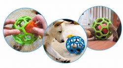 Food Ball Dog Toy – Pet Australia