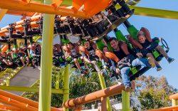Theme Park Rides on the Gold Coast | Dreamworld