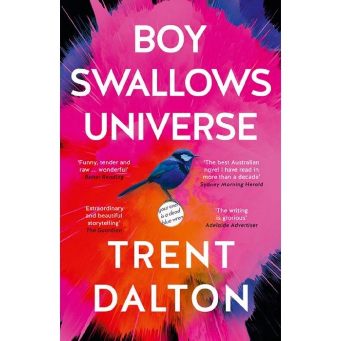 Boy Swallows Universe | BIG W