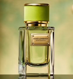 Dolce & Gabbana Perfumes for Women | Dolce & Gabbana Beauty