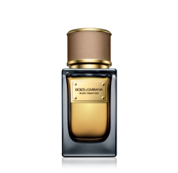 Dolce & Gabbana Perfumes for Women | Dolce & Gabbana Beauty
