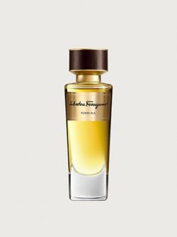 Men’s Perfumes & Fragrances | Salvatore Ferragamo US