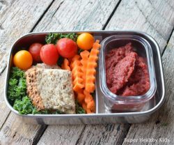 90 Healthy Kids’ Lunchbox Ideas with Photos! – Super Healthy Kids