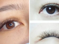 what is the eyelash fill?