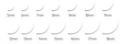 There are 4 degrees of false eyelash lengths: short, medium, long, and very long