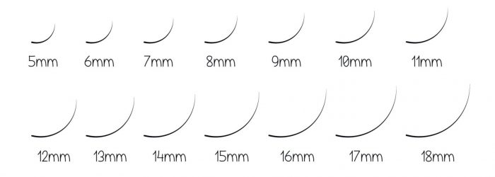 There are 4 degrees of false eyelash lengths: short, medium, long, and very long