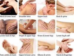 What are the five basic massage movements?